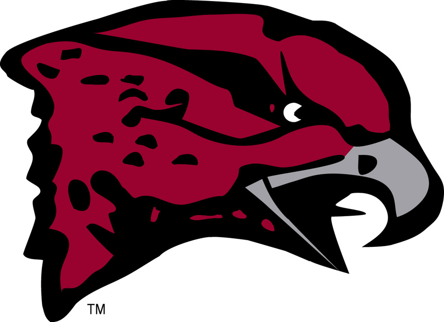 Maryland-Eastern Shore Hawks iron ons